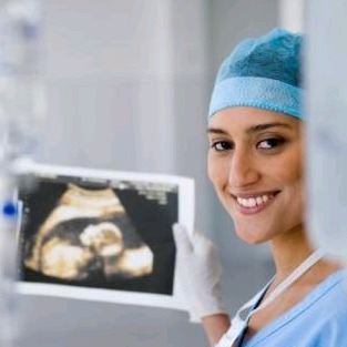 胎儿性别形成的过程